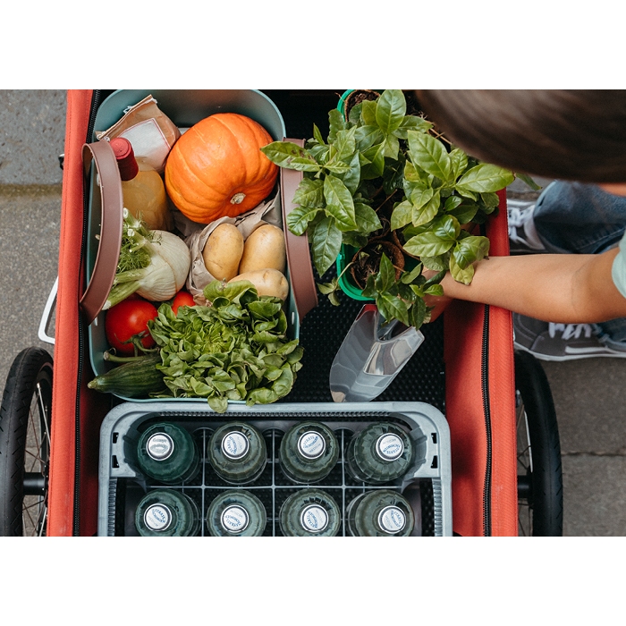 Croozer Remorque Vélo - Cargo Kalle - lava red – Image 9