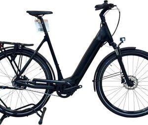 produit reconditionné . Giant Dailytour E+ 2 LDS Shimano Nexus 2021 . Vélo électrique . Giant . très bon état